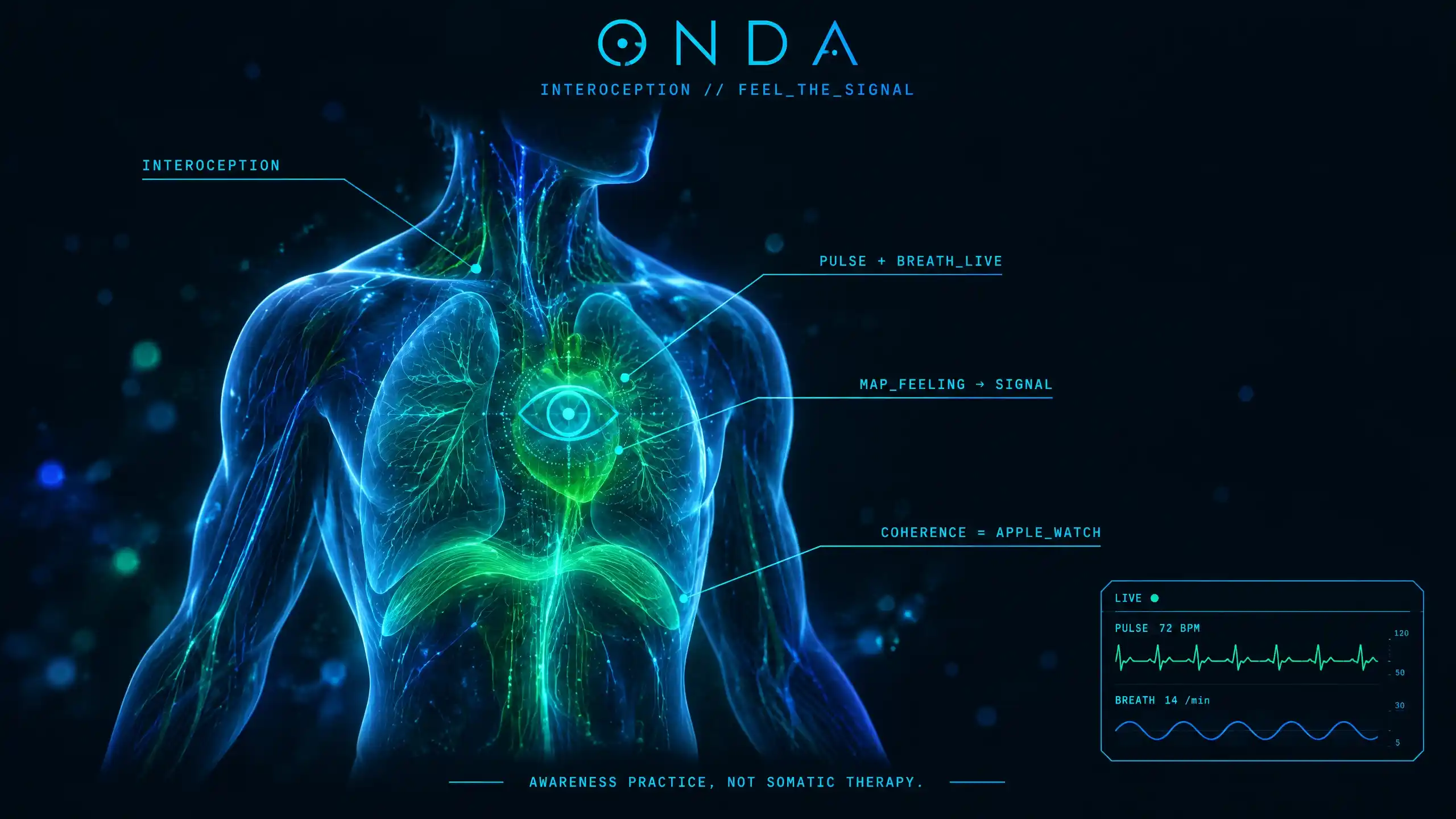 A translucent torso with usually-invisible pulse and breath made visible as a luminous inward map — interoception, a body-awareness practice.