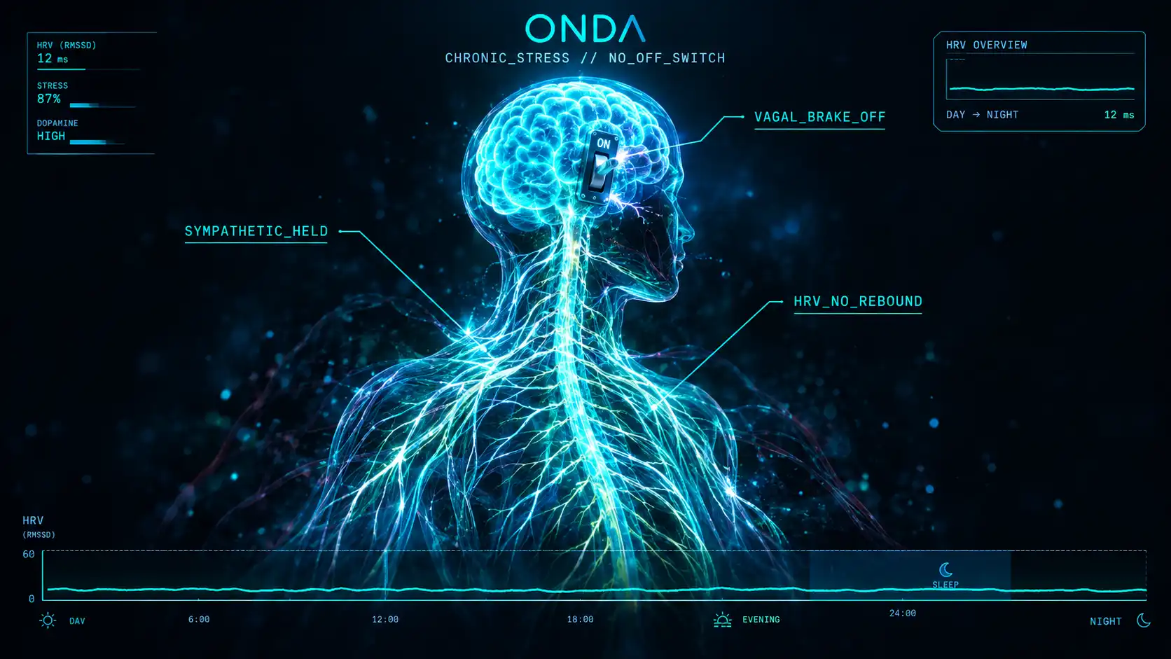 Glowing translucent human nervous system with a power toggle switch stuck ON in the brainstem, and a flat low HRV trace running from day into night that never rebounds.