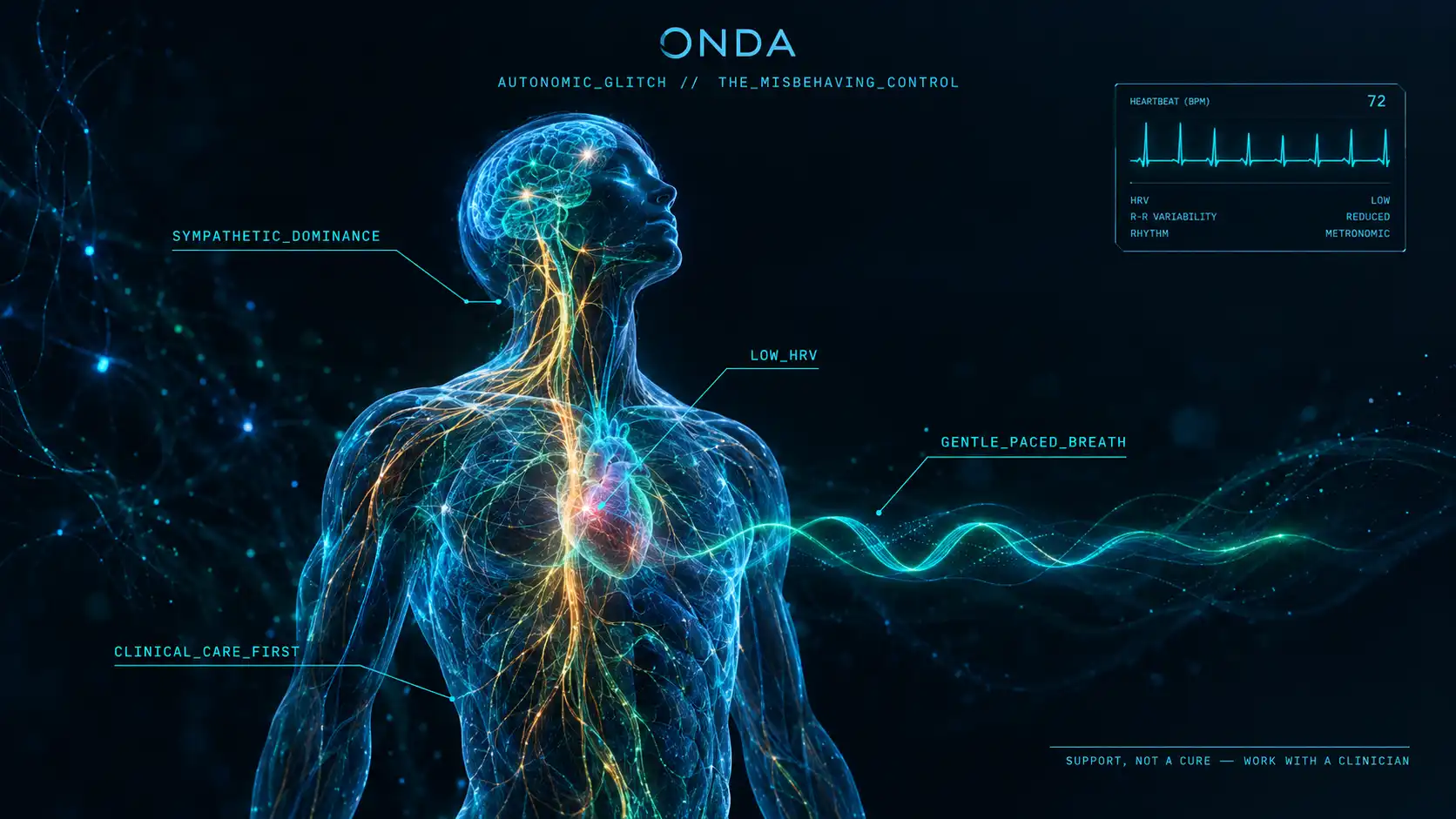 A sympathetic-dominant autonomic nervous system with low HRV and a rigid metronomic heartbeat, gentle paced breathing nudging it — support, not a cure.