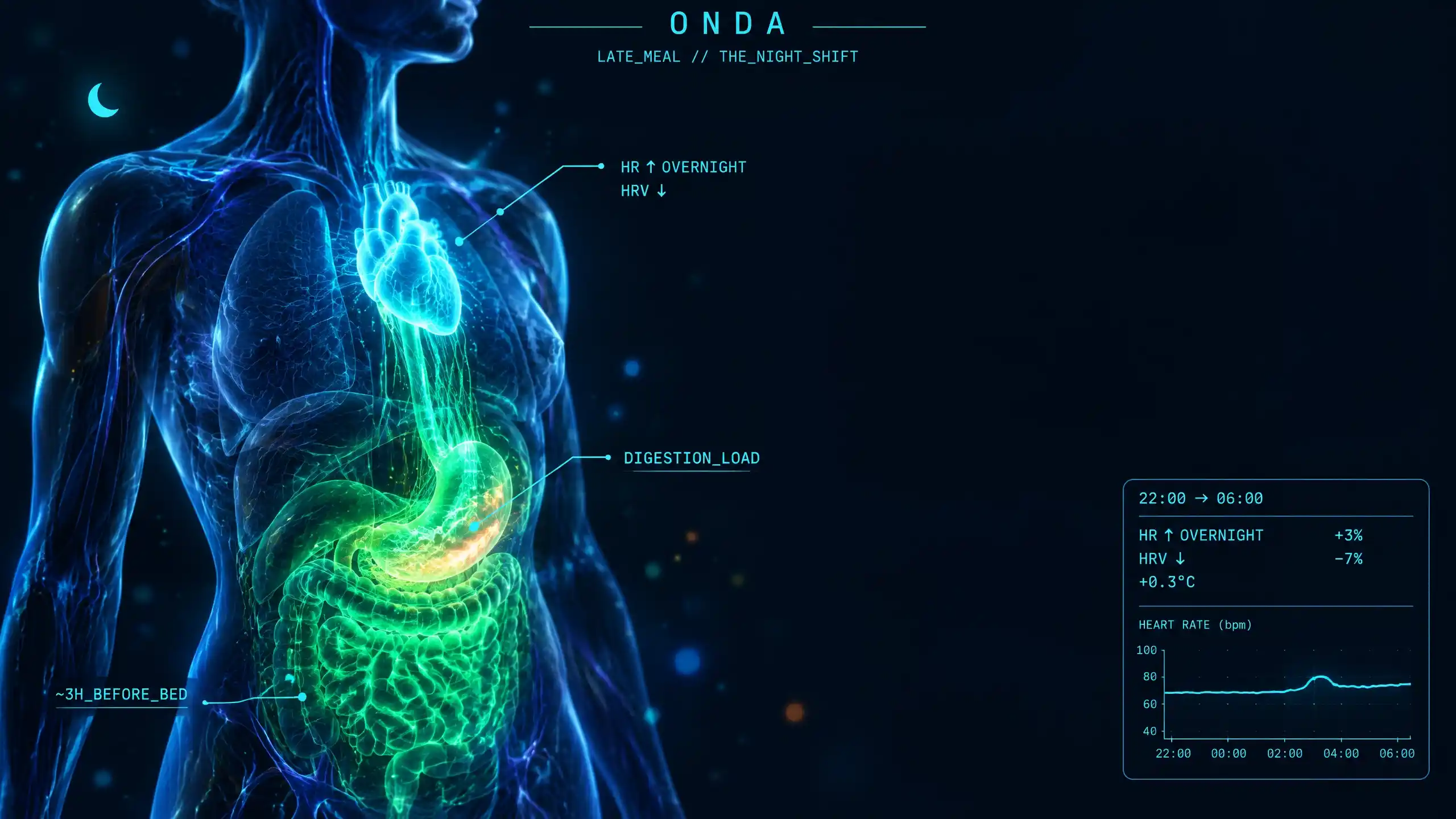 Translucent torso with a glowing digestive system working at night and a heart beating slightly elevated — a late meal’s small overnight cost to heart rate and HRV.
