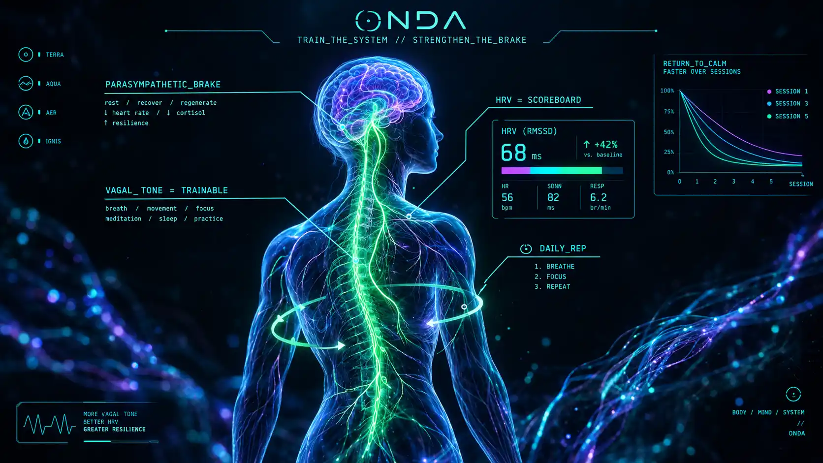 A glowing nervous system with the vagal parasympathetic brake strengthened like a trained muscle, HRV shown as the scoreboard — nervous-system training.