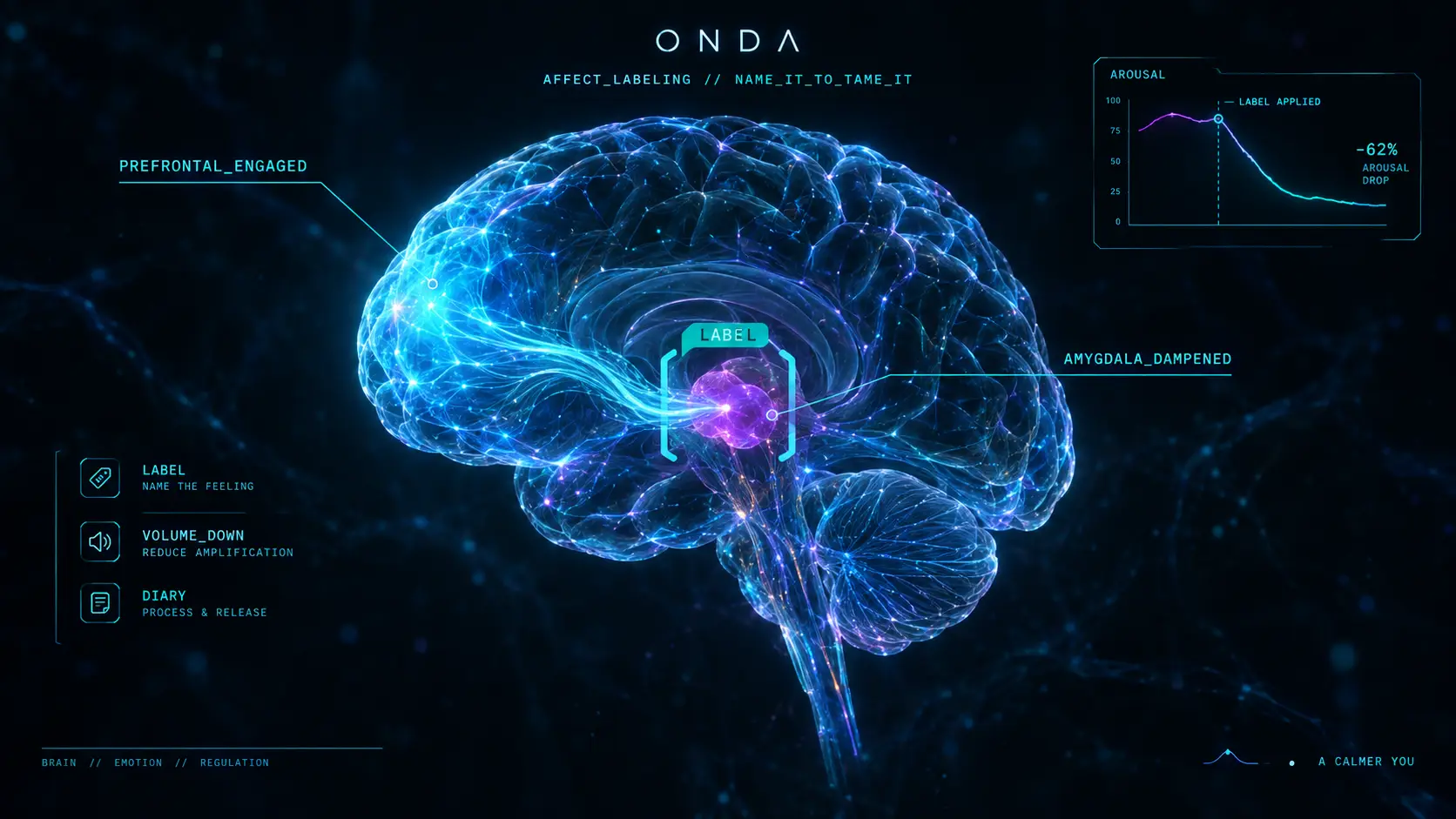 Glowing brain with a label clamping a dampened amygdala and an engaged prefrontal cortex — affect labeling lowering emotional arousal.