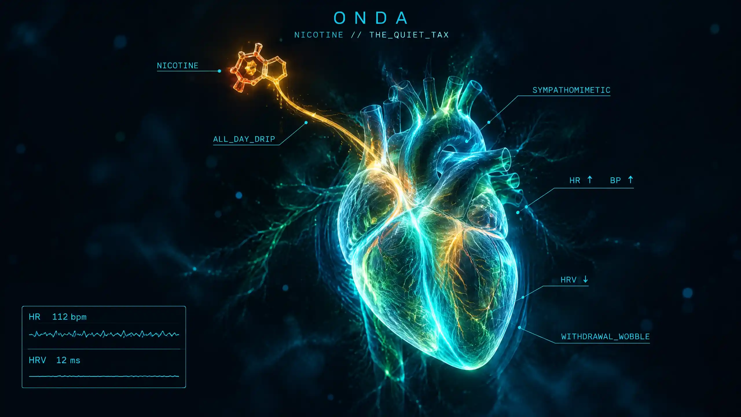 Nicotine molecule feeding an all-day drip into a glowing heart, heart rate and blood pressure up and HRV down — nicotine's quiet autonomic tax.