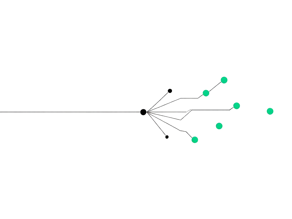 One line branching into several thin paths — some end in small black dots, some reach teal points, and some teal points stand unconnected: one label, many routes and results.